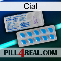 Cial new15